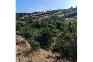 En venta parcela I-572, Paredones, O´Higgins